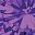 February Amethyst