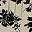 Beige Black White
