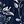 Black Blue Navy