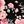 Black Pink