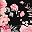 Black Pink