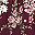 Burgundy Red Black
