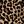 Leopard Print