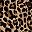 Leopard Print
