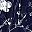 Navy Floral
