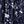 Navy Blue Flowers