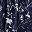 Navy Blue Flowers