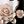 Black Pink Flora