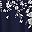 Navy Blue Floral