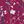 Dark Pink