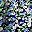 Floral Blue