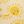 Sunshine
