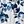 Blue White