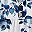 Blue White