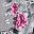 Grey Floral