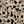Khaki Printed