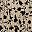 Khaki Printed