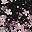 Floral Black Multi