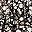 Floral Black