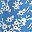 Light Blue White