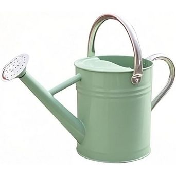 Stainless Steel Watering Can 1 Gallon, Cream Green for Indoor Outdoor Garden