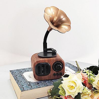 Vintage Bluetooth Speaker: Handcrafted Design, Multiple Play Modes