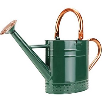 1 Gallon Metal Watering Can with Removable Spout, Galvanized Steel Embossed for Garden