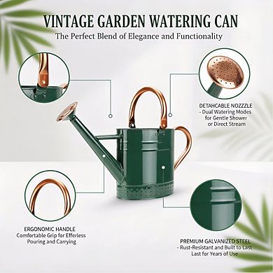 1 Gallon Metal Watering Can with Removable Spout, Galvanized Steel Embossed for Garden