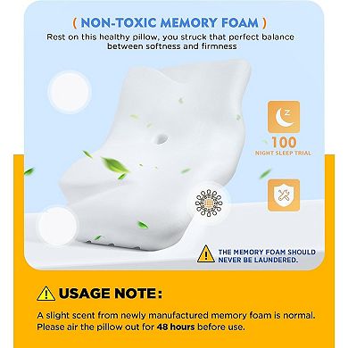 Pillow for Neck Pain Relief, Hollow Design Odorless Memory Foam Pillows
