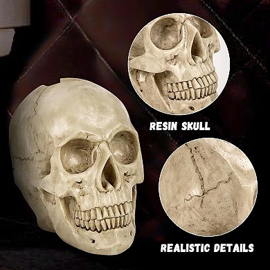 Resin Skull Toilet Brush & Holder: Detailed Gothic Decor for Halloween