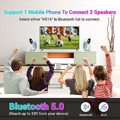 Conch Shape Portable Bluetooth Speaker Wireless,Stylish and Touchscreen Control Bluetooth Stereo