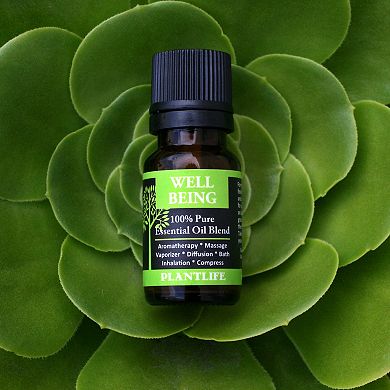 Essential Oil 6 Pack - Spa @ Home