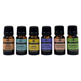 Essential Oil 6 Pack - Home