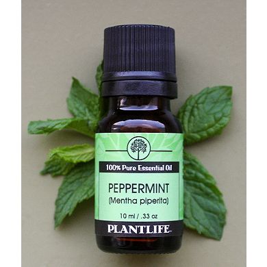 Essential Oil 6 Pack - Home