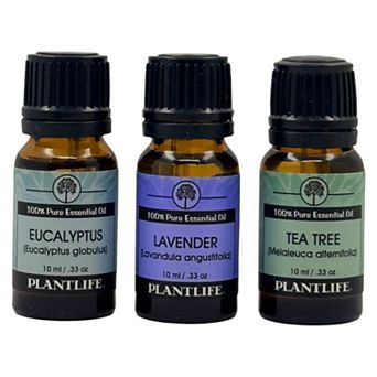 Essential Oil 3 Pack - Top Singles