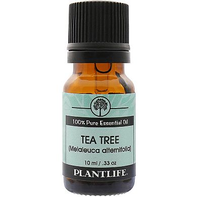 Essential Oil 3 Pack - Top Singles
