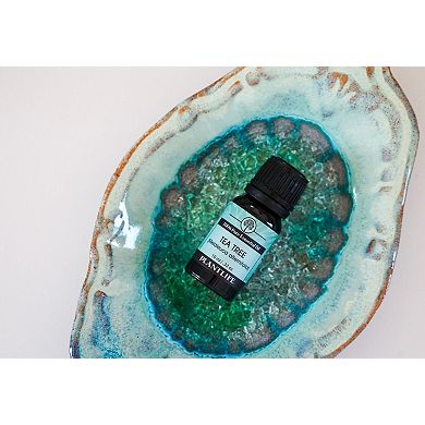 Essential Oil 3 Pack - Top Singles