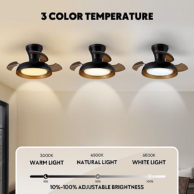 Moooni 23" Smart Black Retractable Low Profile Ceiling Fan with LED Light