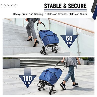 3 in 1 Folding Shopping Cart