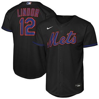 Youth Nike Francisco Lindor Black New York Mets Alternate Replica Jersey