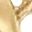 Gold Tone