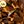 Gold Tone Brown