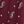 Wine Paisley Dot