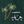 Golf Palm Tree Green