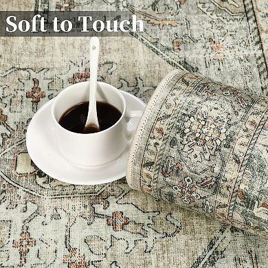 ANIXOL Vintage Washable Area Rug