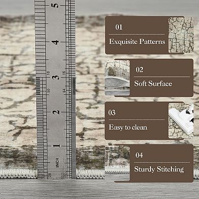 ANIXOL Modern Abstract Washable Area Rug, Soft Non-Slip Low-Pile Carpet