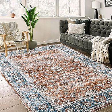 ANIXOL Washable Non-Slip Area Rug