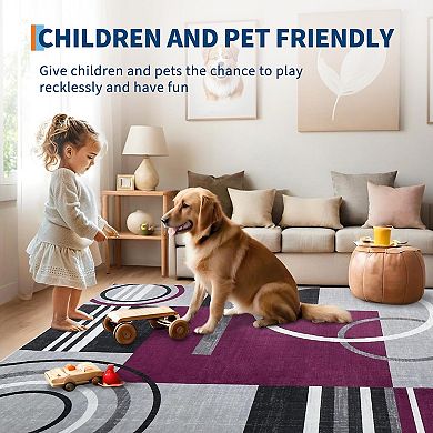 ANIXOL Washable Non-Slip Area Rug