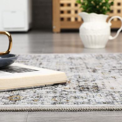 ANIXOL Washable Vintage Area Rug