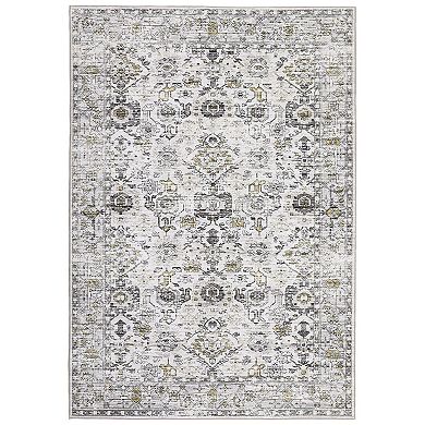 ANIXOL Washable Vintage Area Rug